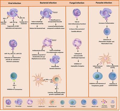 Immune Cell-Derived Extracellular Vesicles in the Face of Pathogenic Infections